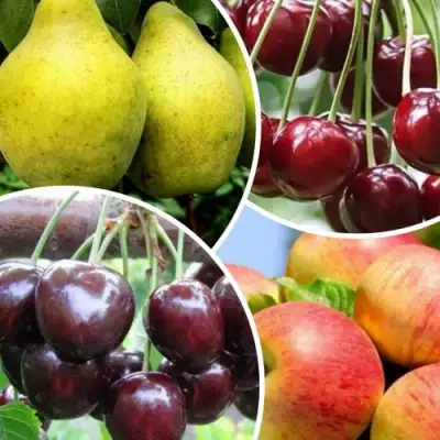 Комплект НАСЛАЖДЕНИЕ в Полоцке