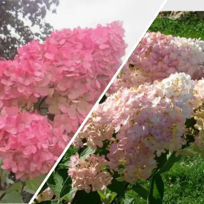 Комплект МНОГОГРАННОСТЬ в Полоцке