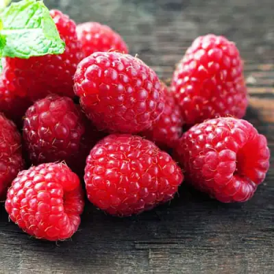 Малина ЭРИКА в Полоцке