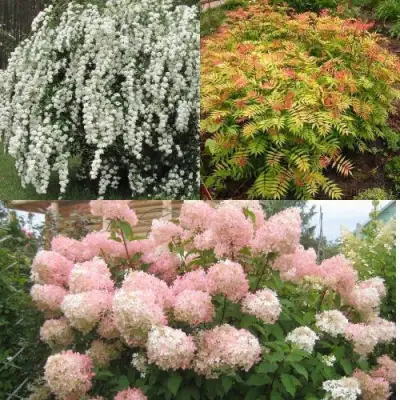 Комплект ФЕЙЕРВЕРК ЛЕТА в Полоцке