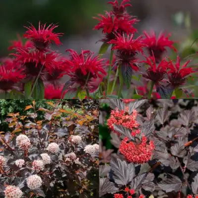 Комплект ОГНЕННЫЙ МИКС в Полоцке