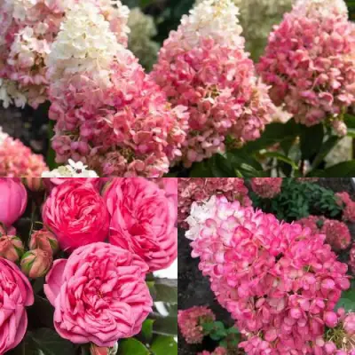 Комплект МАЛИНОВЫЙ ДЕСЕРТ в Полоцке