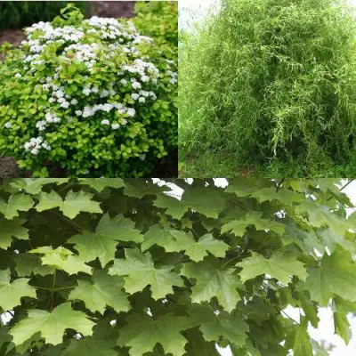 Комплект ЗЕЛЕНЫЙ ОАЗИС в Полоцке