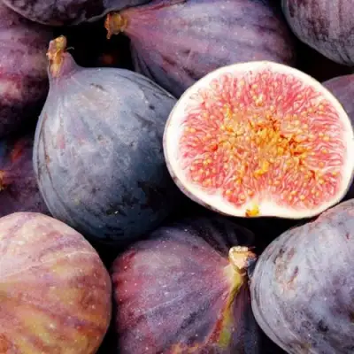 Инжир МУАССОН в Полоцке