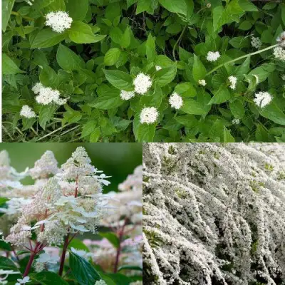 Комплект СКАНДИНАВСКИЙ СТИЛЬ в Полоцке