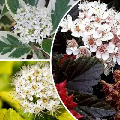 Комплект ЯРКАЯ ВСПЫШКА в Полоцке