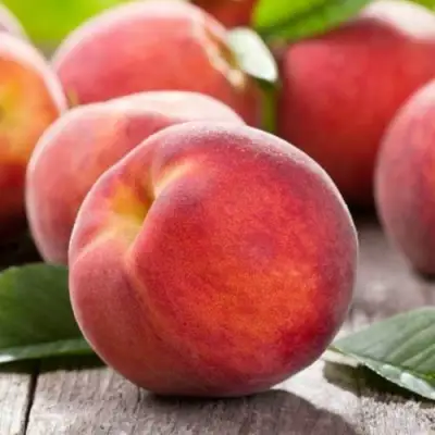 Персик МАЙСКИЙ ЦВЕТОК в Полоцке
