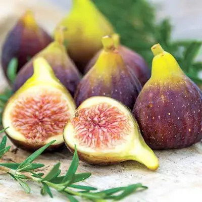 Инжир НИКИТСКИЙ в Полоцке