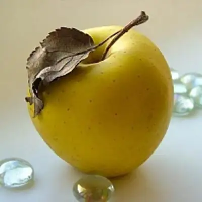 Яблоня АНАНАС в Полоцке