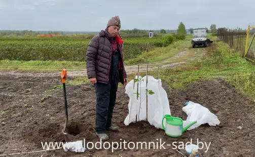 Превью видео