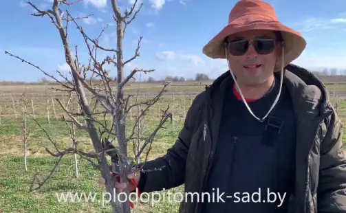 Превью видео