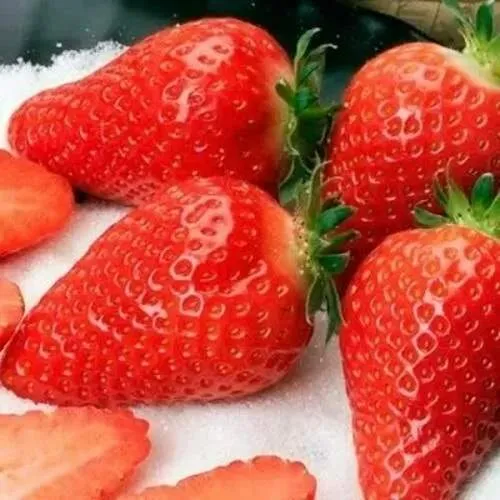 Клубника АЛЬБА  Клубника АЛЬБА в Полоцке