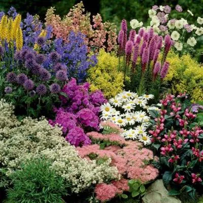 Травы  Травы в Полоцке