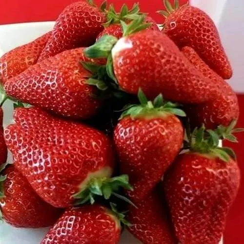 Клубника БРИЛЛА  Клубника БРИЛЛА в Полоцке