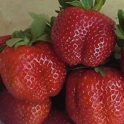 Клубника ДЕСТЕНИ в Полоцке