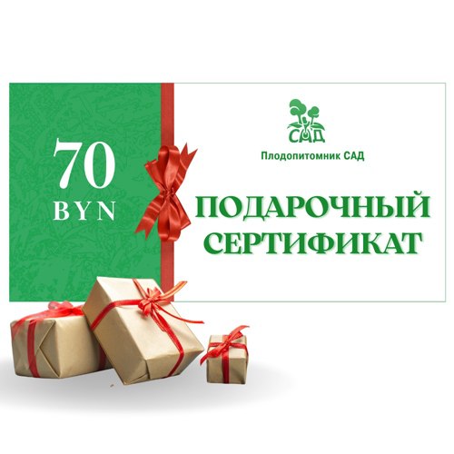 Подарочный сертификат на  70 BYN в Полоцке