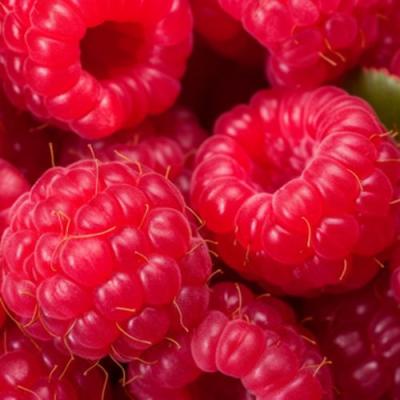 Красная в Полоцке