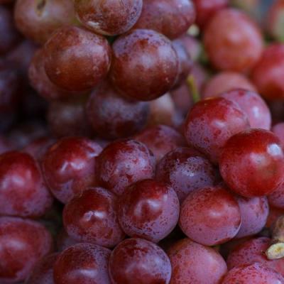 Красный в Полоцке