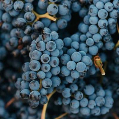 Технический в Полоцке