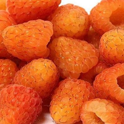 Оранжевая в Полоцке