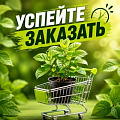 УСПЕЙТЕ ЗАКАЗАТЬ в Полоцке